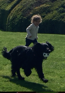 Essence running in park